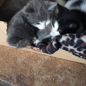 Meet your Posher, Lorraine